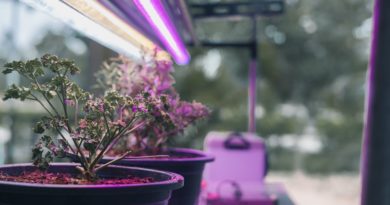 Smart Farming: Monitoring Techniques in Indoor Grow Environments Smart Farming: Monitoring Techniques in Indoor Grow Environments